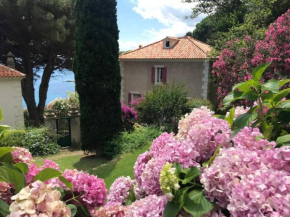 Villa un jardin sur la mer